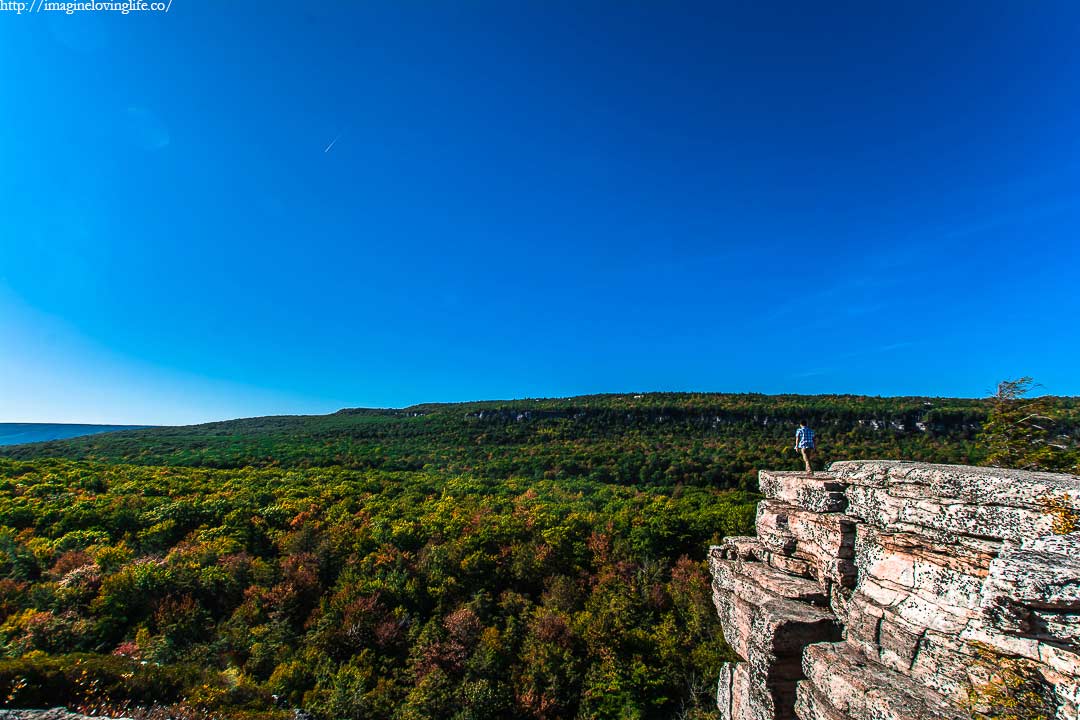 Gertrude's Nose Picture Ledge